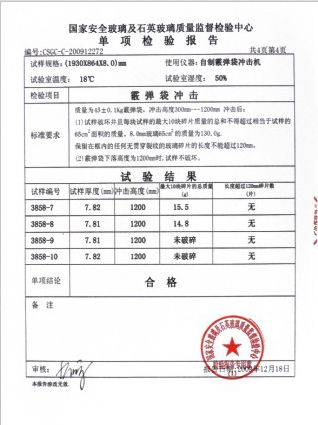 霰彈袋沖擊檢驗報告